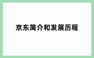 京东简介和发展历程