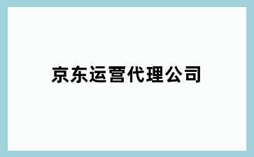 京东运营代理公司