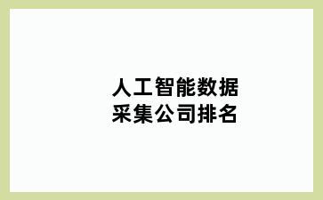 人工智能数据采集公司排名