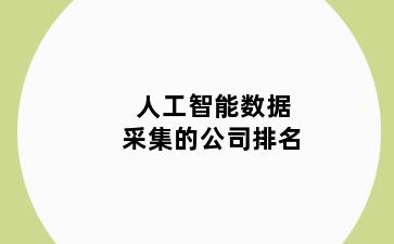 人工智能数据采集的公司排名