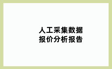 人工采集数据报价分析报告