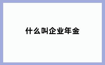 什么叫企业年金