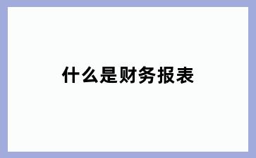 什么是财务报表