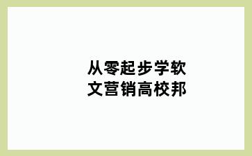 从零起步学软文营销高校邦