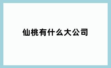 仙桃有什么大公司