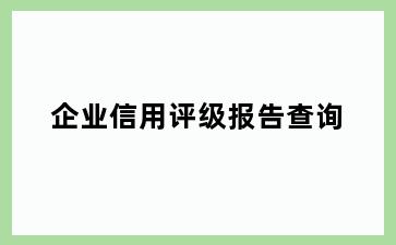 企业信用评级报告查询