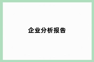 企业分析报告