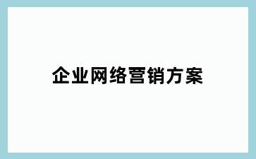 企业网络营销方案