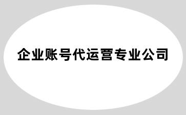 企业账号代运营专业公司