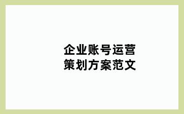 企业账号运营策划方案范文