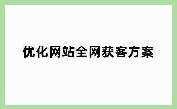 优化网站全网获客方案