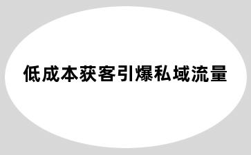 低成本获客引爆私域流量