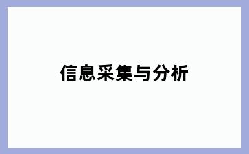 信息采集与分析