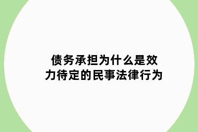 债务承担为什么是效力待定的民事法律行为