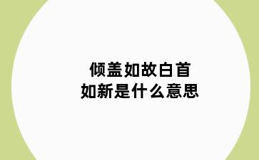 倾盖如故白首如新是什么意思