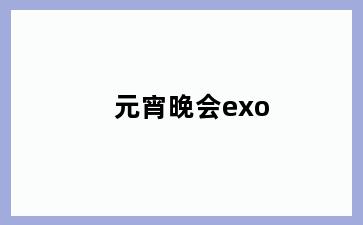 元宵晚会exo