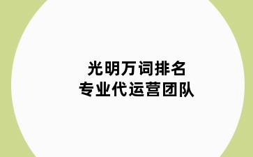 光明万词排名专业代运营团队