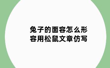 兔子的面容怎么形容用松鼠文章仿写