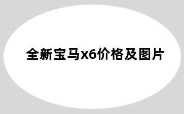 全新宝马x6价格及图片