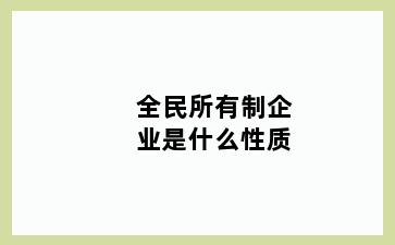 全民所有制企业是什么性质