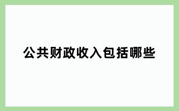 公共财政收入包括哪些