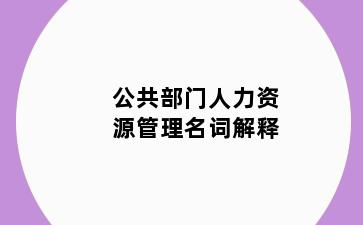 公共部门人力资源管理名词解释