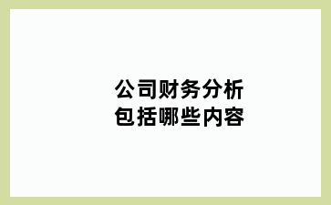 公司财务分析包括哪些内容