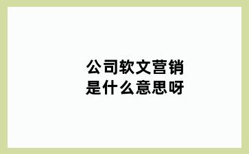 公司软文营销是什么意思呀