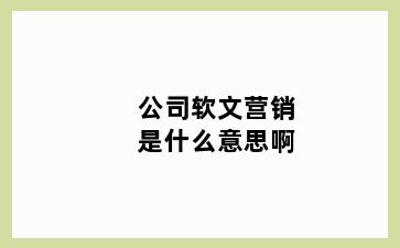 公司软文营销是什么意思啊