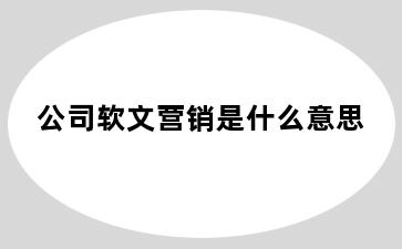 公司软文营销是什么意思