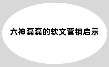 六神磊磊的软文营销启示