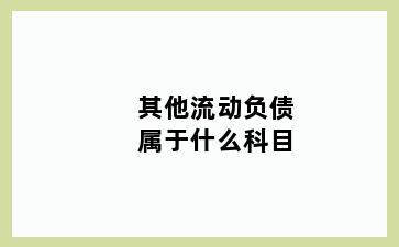 其他流动负债属于什么科目