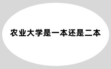 农业大学是一本还是二本