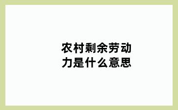 农村剩余劳动力是什么意思