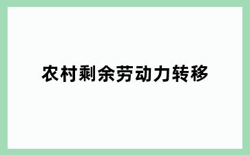 农村剩余劳动力转移