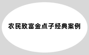 农民致富金点子经典案例