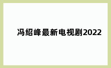 冯绍峰最新电视剧2022