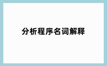 分析程序名词解释