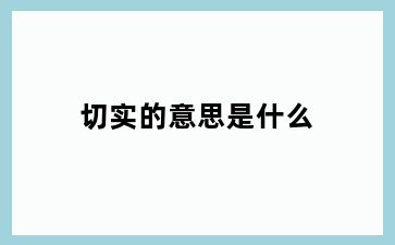 切实的意思是什么