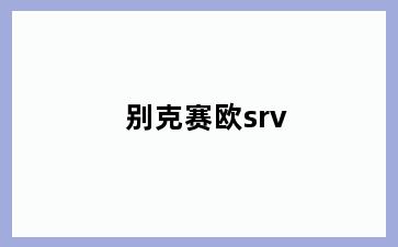 别克赛欧srv