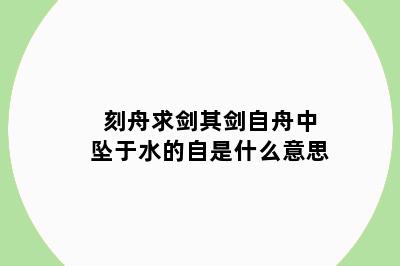 刻舟求剑其剑自舟中坠于水的自是什么意思