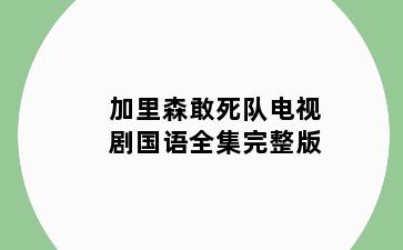 加里森敢死队电视剧国语全集完整版