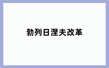 勃列日涅夫改革