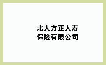 北大方正人寿保险有限公司