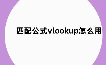 匹配公式vlookup怎么用