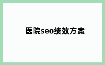 医院seo绩效方案