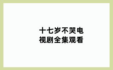 十七岁不哭电视剧全集观看