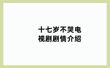 十七岁不哭电视剧剧情介绍