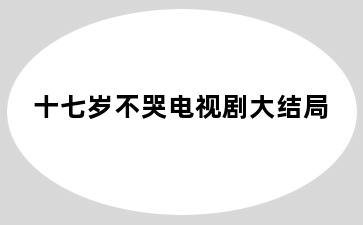 十七岁不哭电视剧大结局