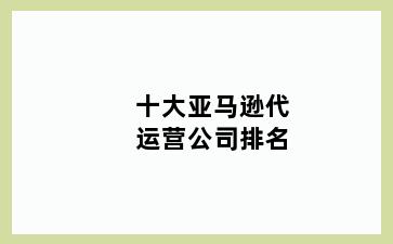 十大亚马逊代运营公司排名